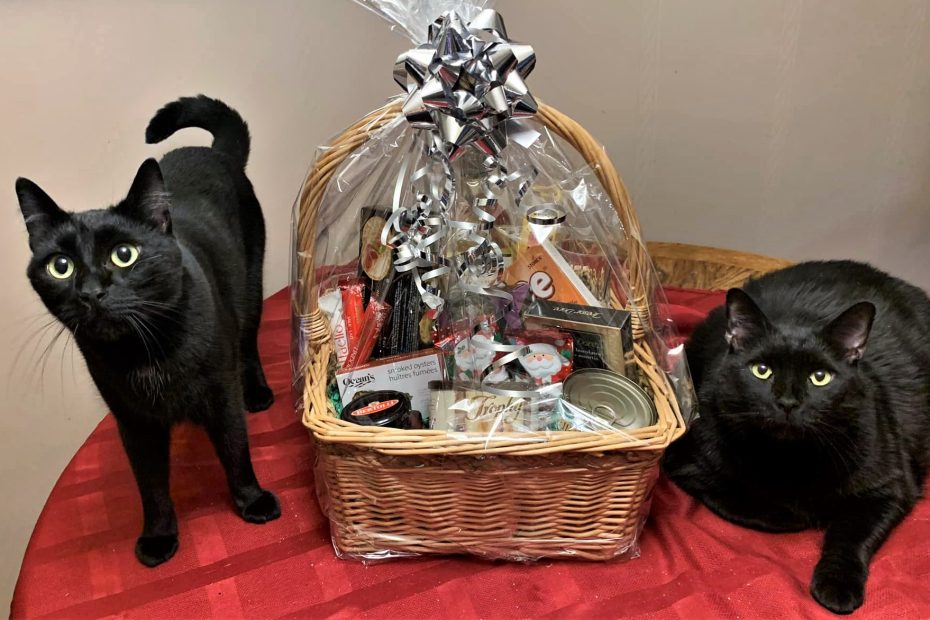 Two Black Cats Sitting Next to Gift Basket