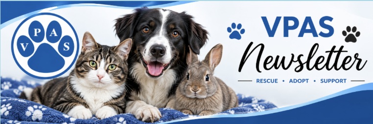 newsletter general